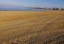 WWF Sicilia Area Mediterranea: Non spianate le dune come tavole di biliardo